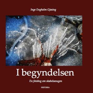 I Begyndelsen - Inge Engholm Gjesing - Bog