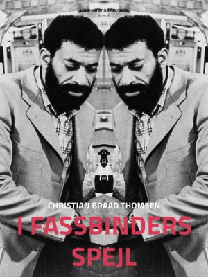 I Fassbinders spejl (E-bog)