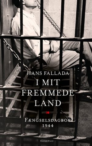 I Mit Fremmede Land - Hans Fallada - Bog