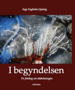 I begyndelsen (Bog)