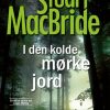 I den kolde, mørke jord (E-bog)