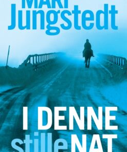 I denne stille nat (E-bog)