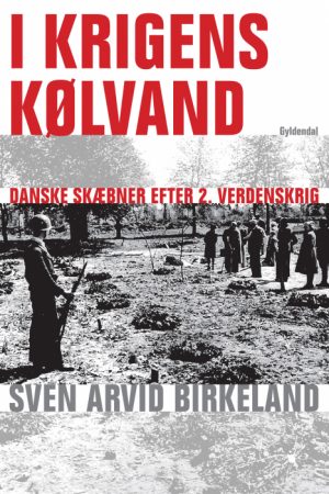 I krigens kølvand (E-bog)