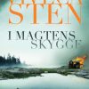 I magtens skygge (E-bog)