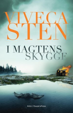 I magtens skygge (E-bog)