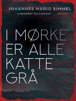 I mørke er alle katte grå (Bog)