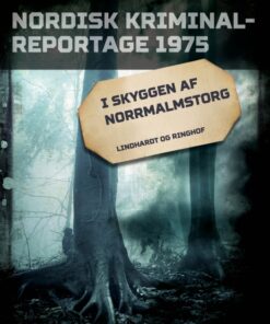 I skyggen af Norrmalmstorg (E-bog)