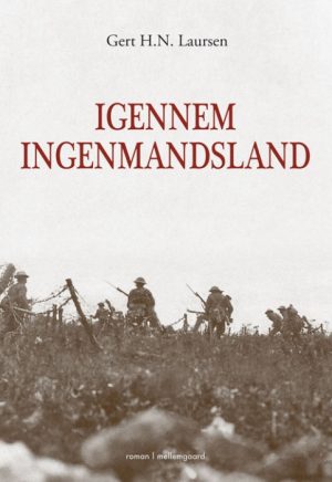 IGENNEM INGENMANDSLAND (E-bog)