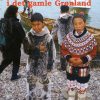 INUK OG IVIK I DET GAMLE GRØNLAND (E-bog)