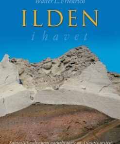 Ilden i havet (Bog)