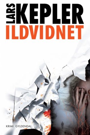 Ildvidnet (E-bog)