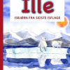 Ille isbjørn fra sidste isflage (E-bog)