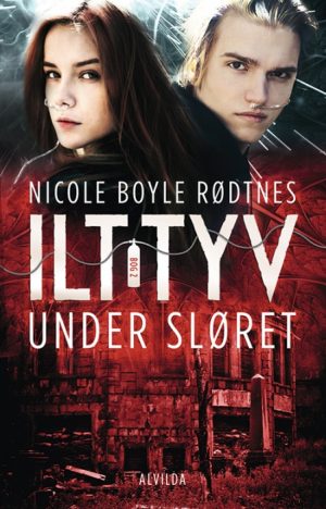 Ilt-tyv 2: Under sløret (Bog)