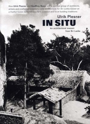 In Situ (Bog)