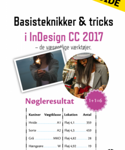 InDesign CC 2017 Basisteknikker & Tricks (E-bog)