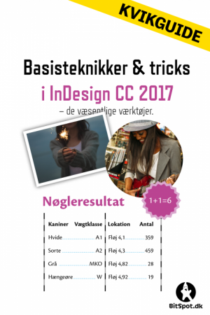 InDesign CC 2017 Basisteknikker & Tricks (E-bog)