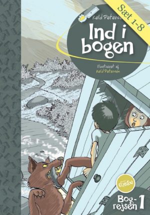 Ind i bogen (E-bog)