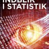 Indblik I Statistik - Allan Würtz - Bog