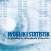 Indblik I Statistik - Allan Würtz - Bog