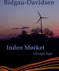 Inden Mørket - Birgitte Bidgau-davidsen - Bog