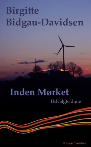 Inden Mørket - Birgitte Bidgau-davidsen - Bog