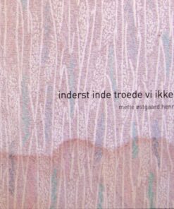 Inderst inde troede vi ikke på husene (Bog)