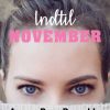 Indtil November (Bog)
