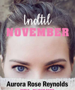Indtil November (Bog)