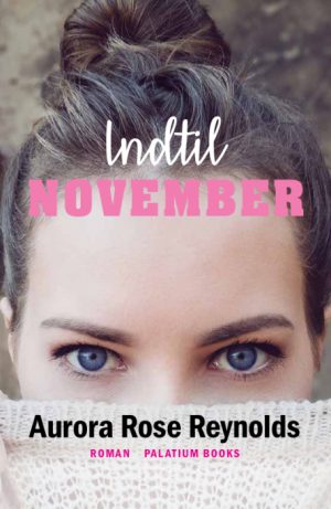 Indtil November (Bog)