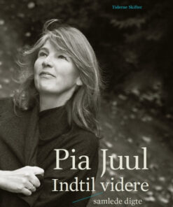 Indtil videre (Bog)