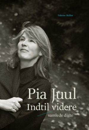 Indtil videre (Bog)