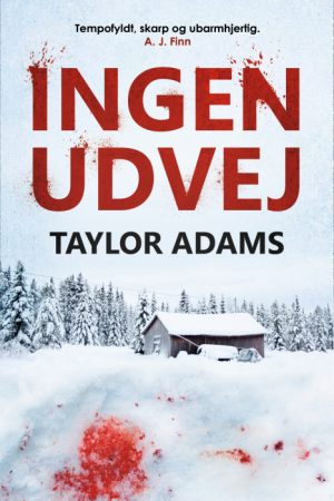 Ingen udvej (E-bog)