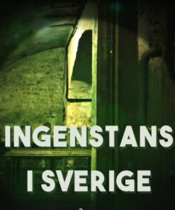 Ingenstans i Sverige (E-bog)