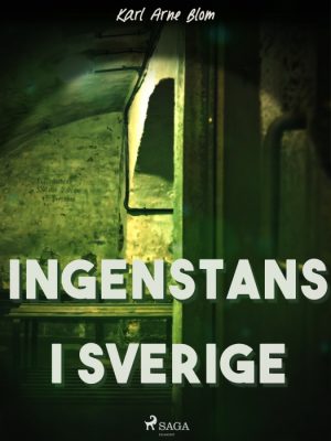 Ingenstans i Sverige (E-bog)