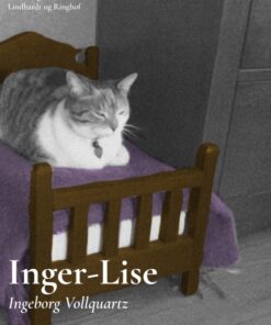 Inger-Lise (E-bog)
