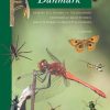Insekter i Danmark (Bog)