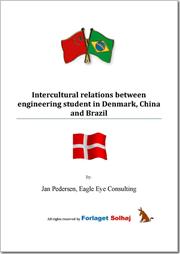 Intercultural relations between engineering student in Denmark, China and Brazil (E-bog)