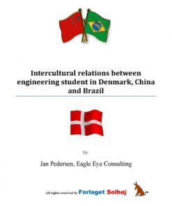 Intercultural relations between engineering student in Denmark, China and Brazil (E-bog)