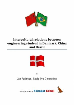 Intercultural relations between engineering student in Denmark, China and Brazil (E-bog)