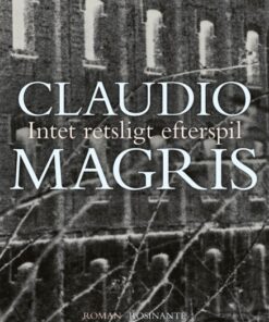 Intet retsligt efterspil (E-bog)