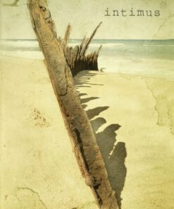 Intimus (E-bog)