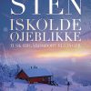 Iskolde øjeblikke - Viveca Sten - Bog