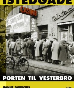 Istedgade. Porten til Vesterbro (E-bog)
