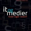 It og medier - hvad siger loven? (Bog)