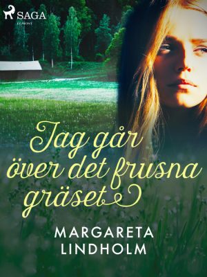 Jag går över det frusna gräset (E-bog)