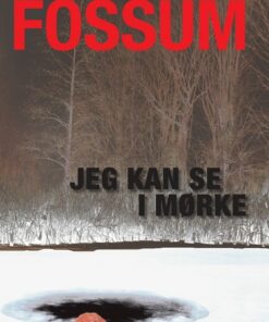 Jeg Kan Se I Mørke - Karin Fossum - Bog