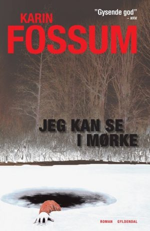 Jeg Kan Se I Mørke - Karin Fossum - Bog