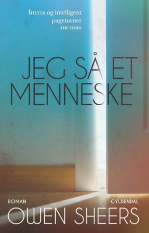 Jeg Så Et Menneske - Owen Sheers - Bog