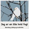 Jeg er en lille hvid fugl (E-bog)