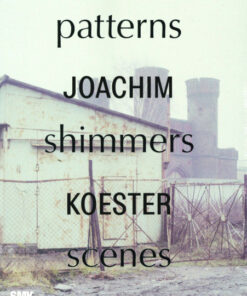 Joachim Koester. Patterns Shimmers Scenes (Bog)